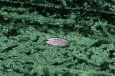 Enlarge photo 8