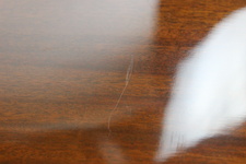 Enlarge photo 38
