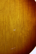 Enlarge photo 43