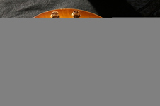 Enlarge photo 45