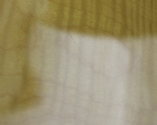 Enlarge photo 39