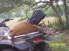 Enlarge photo 18