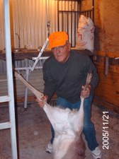 Enlarge photo 17