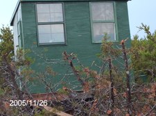 Enlarge photo 15
