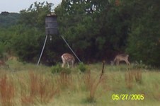 Other  Kerrville Pics