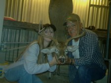 Enlarge photo 3