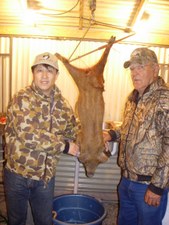 2007 All Deer Pics