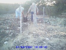 Deer Cam pics