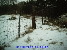 Enlarge photo 2