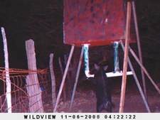 Enlarge photo 6