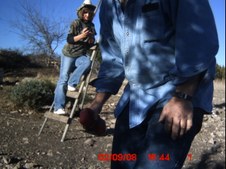 Feb. Pics