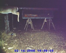 Enlarge photo 2