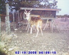 Enlarge photo 3