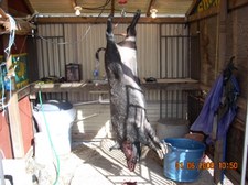 Enlarge photo 12