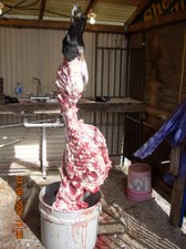 Enlarge photo 13