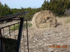 Enlarge photo 28