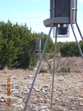 Enlarge photo 31