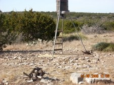 Enlarge photo 27