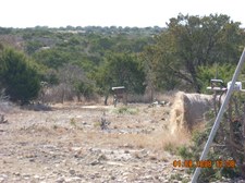 Enlarge photo 29