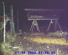 January 08 pics