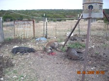 Enlarge photo 6