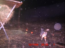 December 09 Pics