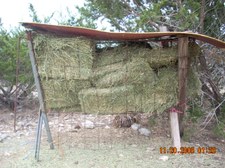 March 09 Pics