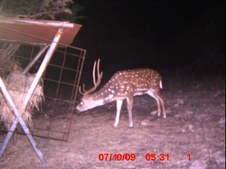 Sept. 09 Feeding Time