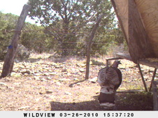 Enlarge photo 3