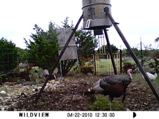 Enlarge photo 2