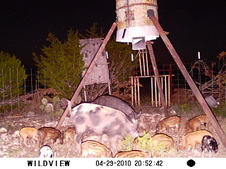 Enlarge photo 10