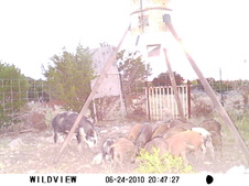 Enlarge photo 30