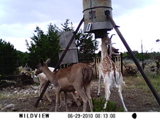 Enlarge photo 13