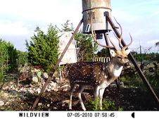 sept2010