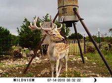 Enlarge photo 16