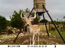 Enlarge photo 17
