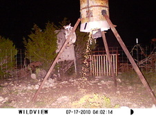 Enlarge photo 18