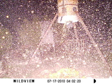 Enlarge photo 19
