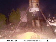 Enlarge photo 21