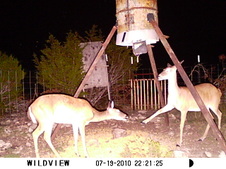 Enlarge photo 25