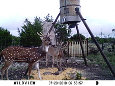 Enlarge photo 26