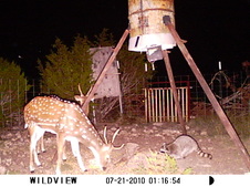 Enlarge photo 27