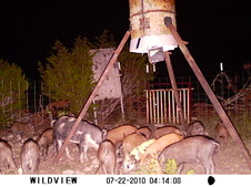 Enlarge photo 28