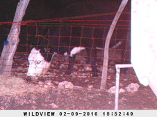 Enlarge photo 20