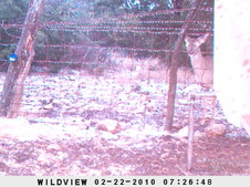 Enlarge photo 17