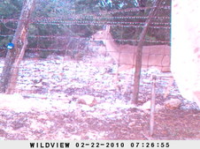 Enlarge photo 18