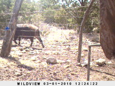 Enlarge photo 13