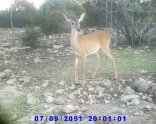 Enlarge photo 18