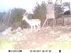 2011 May and June