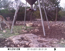 Enlarge photo 3